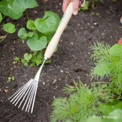 Burgon & Ball RHS Borderhark - Verlengd -Exporteren Tuin Lucht Winkel image 32