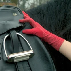 De Wiltfang RHS Pootstok -Exporteren Tuin Lucht Winkel image 48