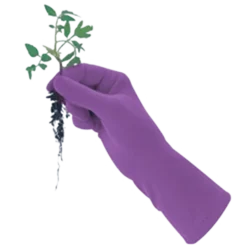 De Wiltfang Graskantenschaar Met 3 Standen 5 De Wiltfang Graskantenschaar Met 3 Standen -Exporteren Tuin Lucht Winkel image 57