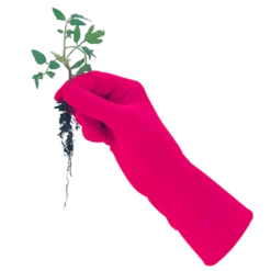 De Wiltfang Foxgloves Original 15 De Wiltfang Foxgloves Original -Exporteren Tuin Lucht Winkel image 58