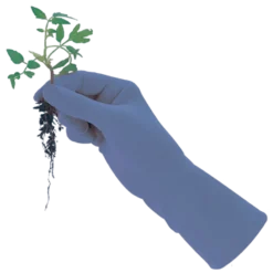 De Wiltfang Foxgloves Original 16 De Wiltfang Foxgloves Original -Exporteren Tuin Lucht Winkel image 59