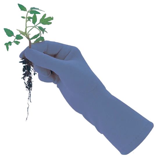 De Wiltfang Foxgloves Original 7 De Wiltfang Foxgloves Original - Afbeelding 5