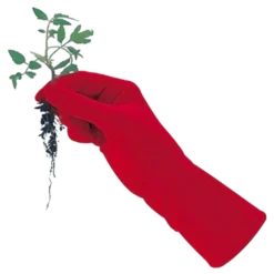 De Wiltfang Foxgloves Original 17 De Wiltfang Foxgloves Original -Exporteren Tuin Lucht Winkel image 60