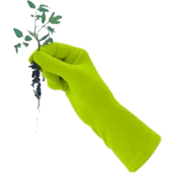 De Wiltfang Foxgloves Original 18 De Wiltfang Foxgloves Original -Exporteren Tuin Lucht Winkel image 61