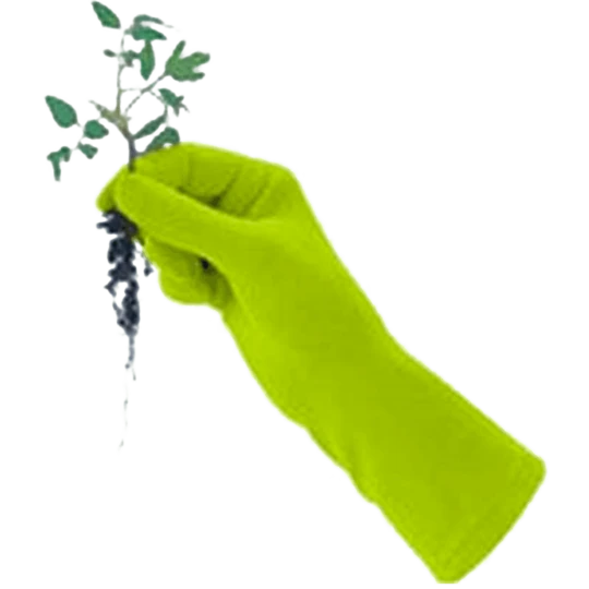 De Wiltfang Foxgloves Original 9 De Wiltfang Foxgloves Original - Afbeelding 7