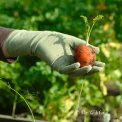 Burgon & Ball RHS Perennial Spade